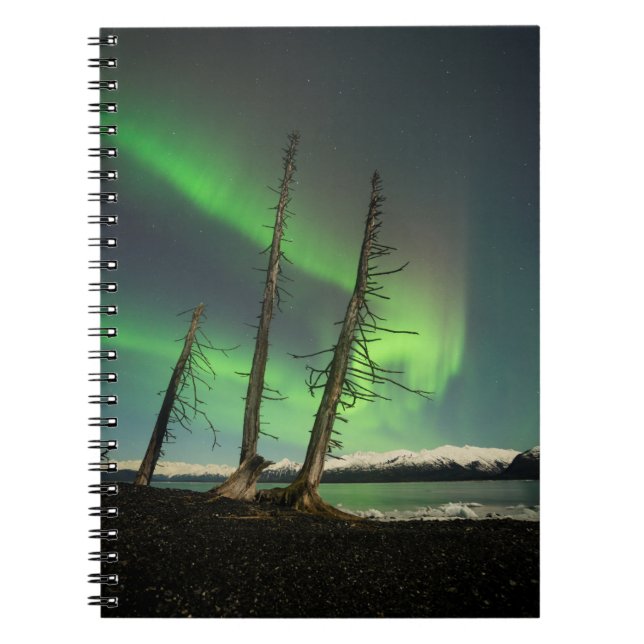 Cuaderno Olvidado Spruce Aurora (Frente)