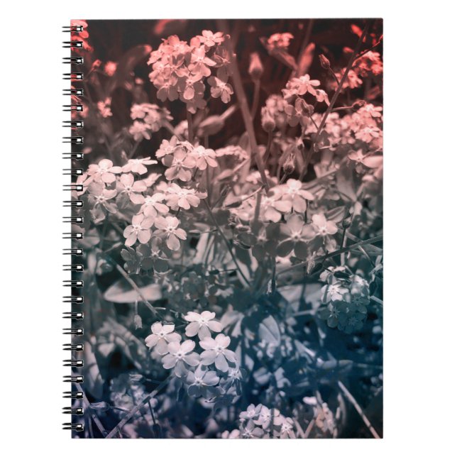 Cuaderno olvídame no (Frente)