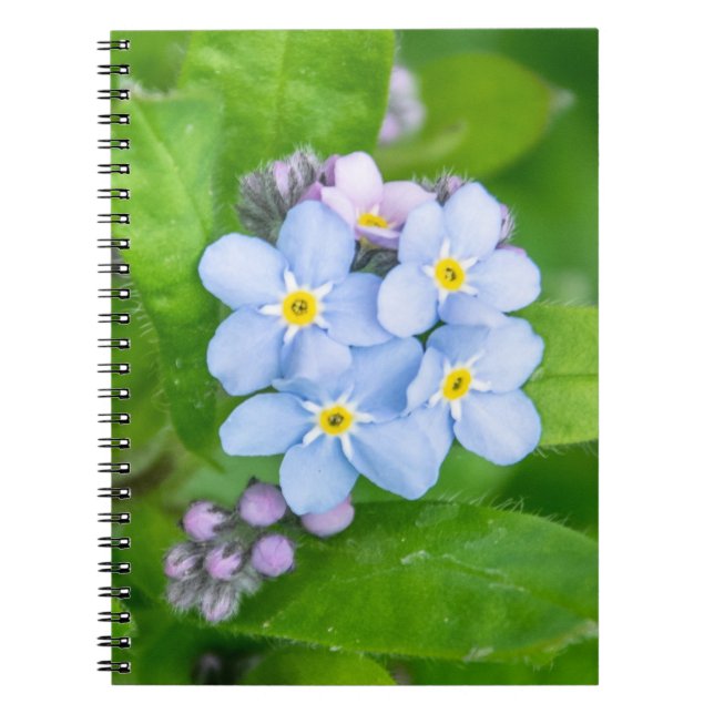 Cuaderno Olvídenme, bloc de notas de fotos espiral (Frente)