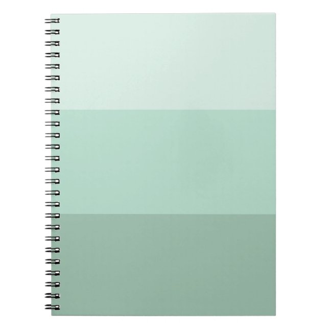 Cuaderno Ombre verde rayado (Frente)