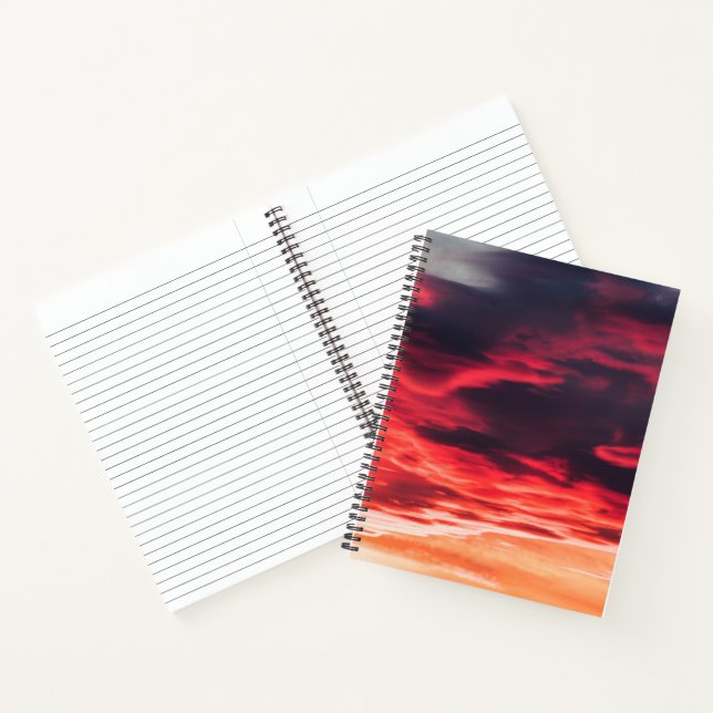 Cuaderno onda felina (Interior)