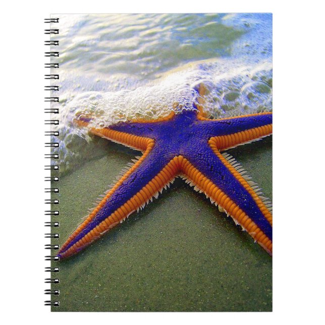 Cuaderno Onda marina de arena tropical de Starfish (Frente)