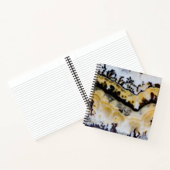 Cuaderno Ónix de encaje plateado (Interior)