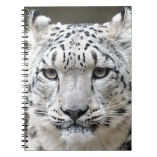 Cuaderno Onza
