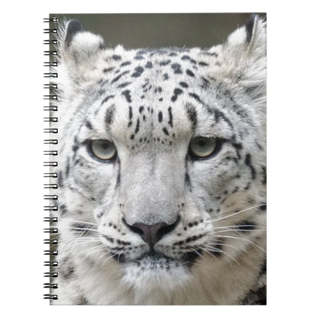 Cuaderno Onza (Frente)