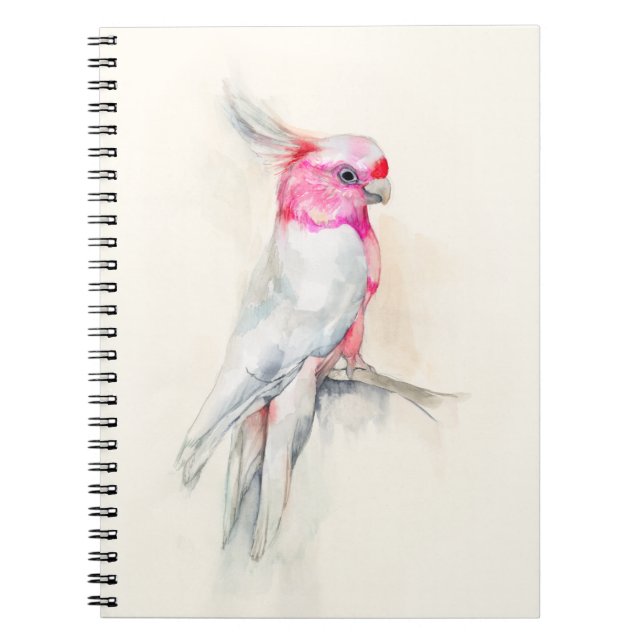 Cuaderno Ópera Cockatoo (Frente)