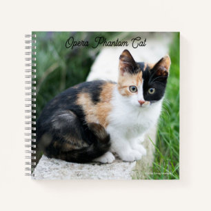 Cuaderno Opera Gato fantasma