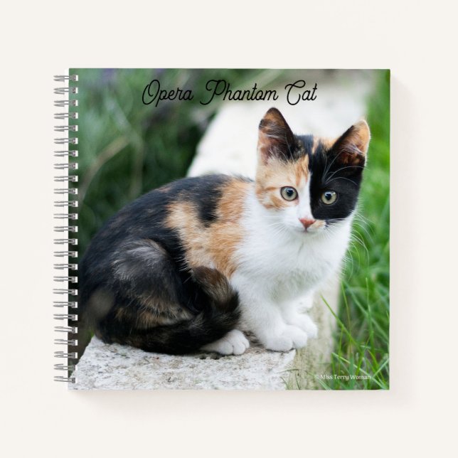 Cuaderno Opera Gato fantasma (Anverso)