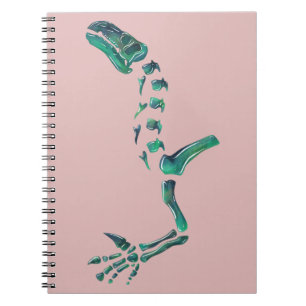 Cuaderno Óptico Iguanodon Dinosaurio