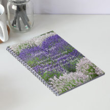 Oración de serenidad inspiradora jardín de lavanda