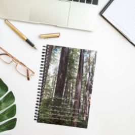 Cuaderno Oración inspiradora de Serenidad Bosque Sunlit