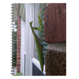 Cuaderno Orando a los Mantis en la pared de ladrillos