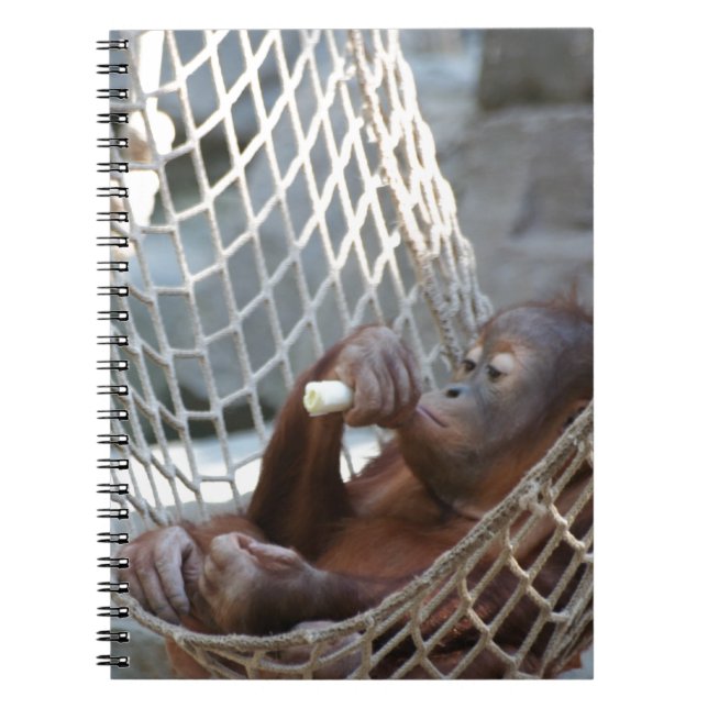 Cuaderno Orang-Utan (Frente)