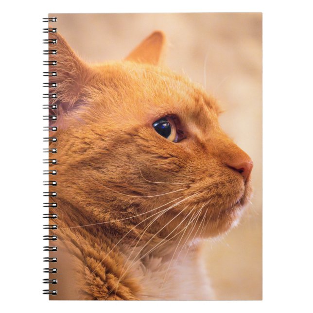 Cuaderno Orange Tabby Cat Notebook Curious Feline Notebook (Frente)
