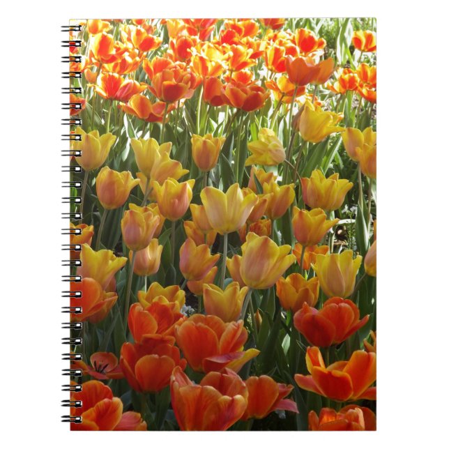 Cuaderno Orange-&-Yelow-Tulips.jpg (Frente)