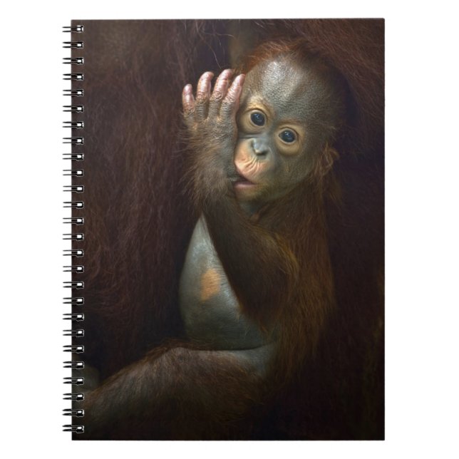 Cuaderno Orangután (Frente)