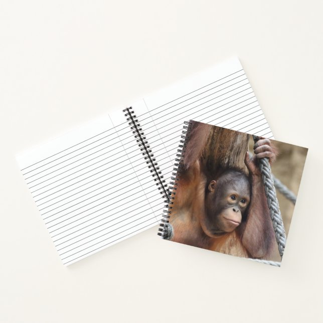 Cuaderno OrangUtan 002 (Interior)