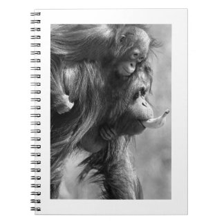 Cuaderno Orangutan#8-Notebook