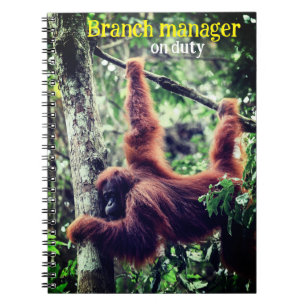 Cuaderno Orangután colgando de un árbol