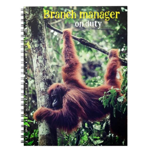 Cuaderno Orangután colgando de un árbol (Frente)