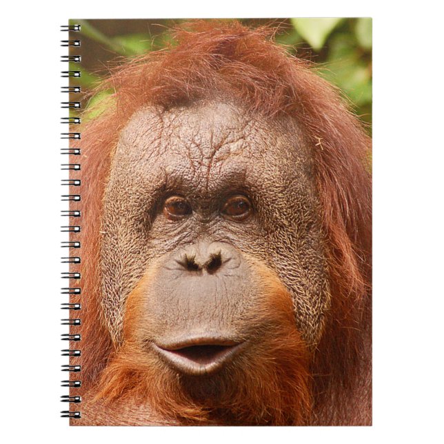 Cuaderno Orangután cutáneo (Frente)