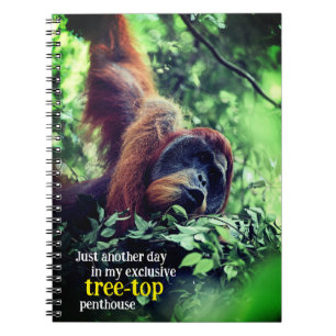 Cuaderno Orangutan relajándose en el árbol