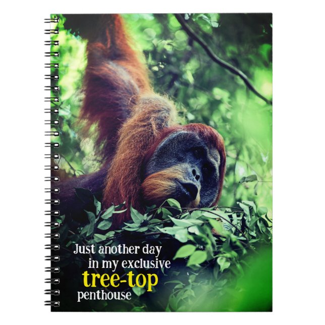 Cuaderno Orangutan relajándose en el árbol (Frente)