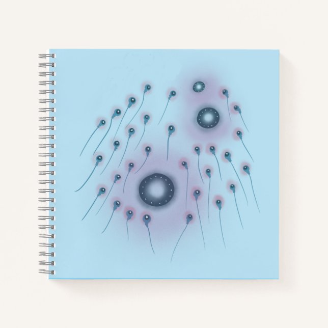 Cuaderno Orbus Ovulum (Anverso)