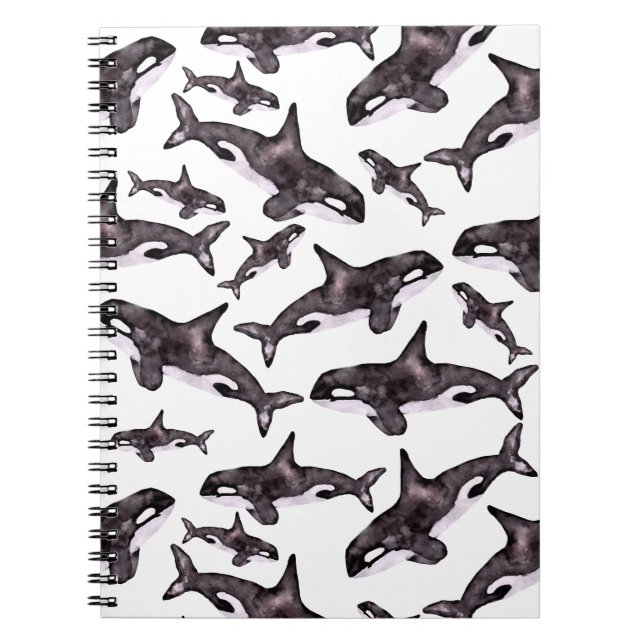 Cuaderno Orca de la acuarela (Frente)