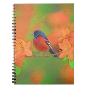 Cuaderno Orchard Oriole Songbird Pintura original de aves