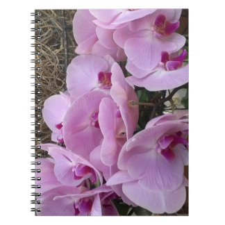 Cuaderno Orchids