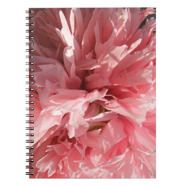 Cuaderno Ordenador portátil rosa de bonito (Frente)