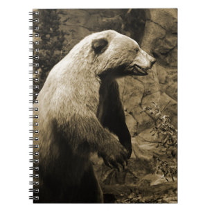 Cuaderno Orgullo