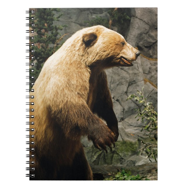 Cuaderno Orgullo (Frente)