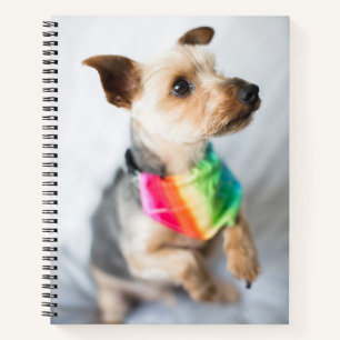Cuaderno Orgullo gay Perro arco iris Yorkshire Terrier
