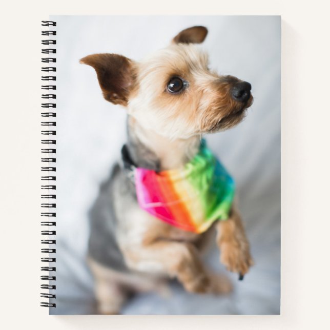 Cuaderno Orgullo gay Perro arco iris | Yorkshire Terrier (Anverso)