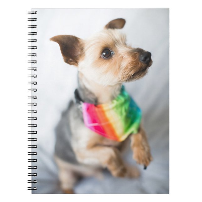 Cuaderno Orgullo gay Perro arco iris | Yorkshire Terrier (Frente)