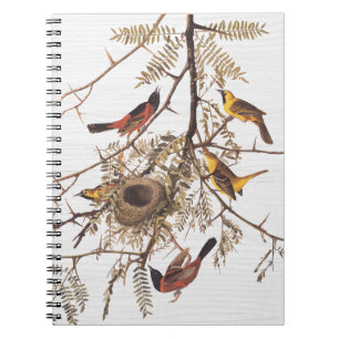 Cuaderno Oriole huerto audubón en langosta de miel
