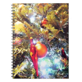 Cuaderno Ornamentos ilustrativos