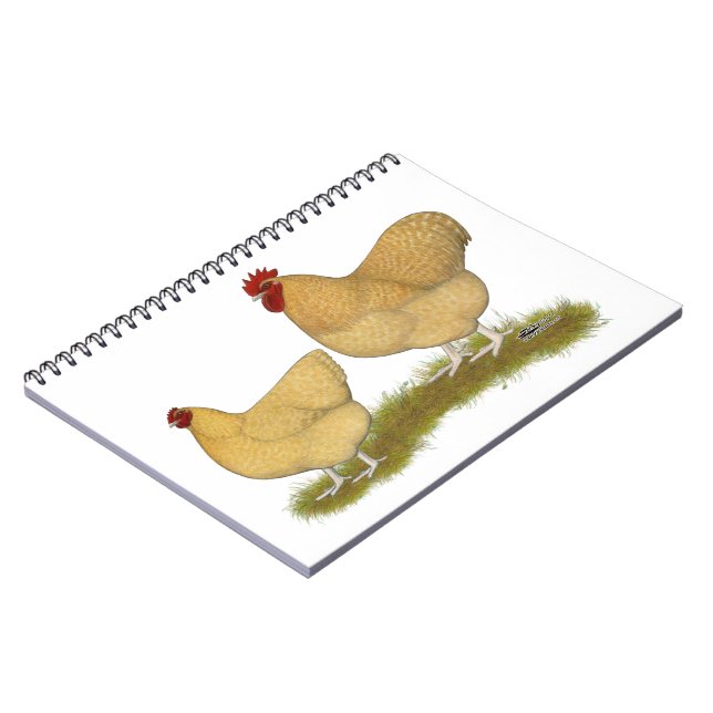 Cuaderno Orpingtons Lemon Cuckoo (Lado Izquierdo)
