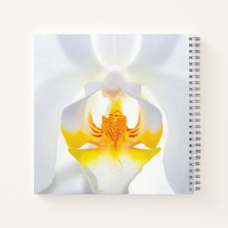 Cuaderno Orquídea Blanca