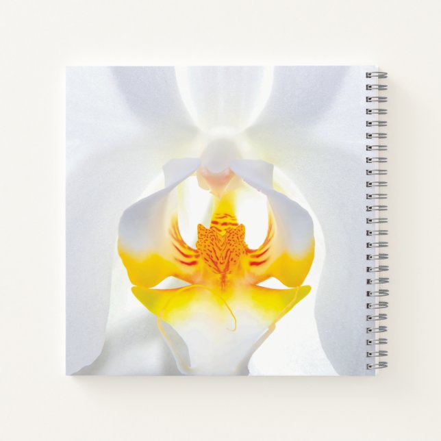 Cuaderno Orquídea Blanca (Reverso)