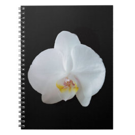 Cuaderno Orquídea blanca contra fondo negro