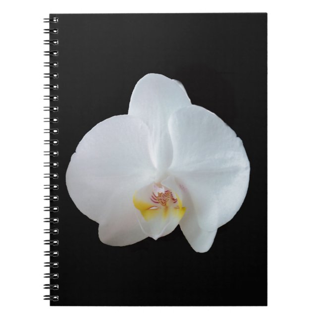 Cuaderno Orquídea blanca contra fondo negro (Frente)