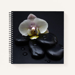 Cuaderno Orquídea Blanca Sobre Piedras Negras