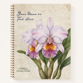 Cuaderno Orquídea Botánica Vintage Cattleya Trianae Persona