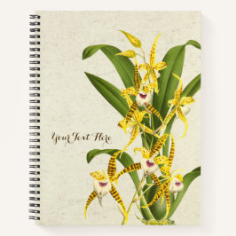 Cuaderno Orquídea cordata de Rhynchostele