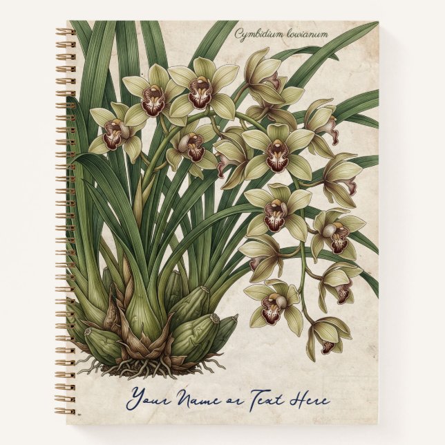 Cuaderno orquídea Cymbidium lowianum (Anverso)