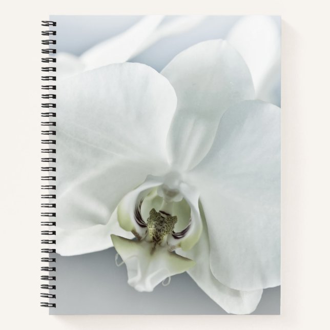 Cuaderno Orquídea de faleonopsis blanca (Anverso)