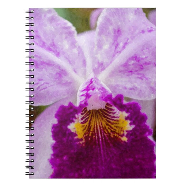 Cuaderno Orquídea de pasión púrpura (Frente)